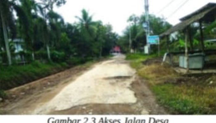 Berapa Lama Tanah Kosong Dijadikan Milik Negara? Ini Jawabannya