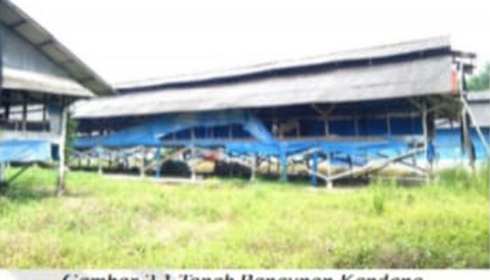 Tanah Kosong Akan Disita Pemerintah, Ternyata Digunakan untuk Ini