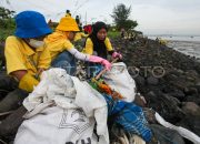 Bupati Fawait Memimpin Aksi Bersih-bersih Sampah di Pantai Jember