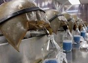 Ratusan Hewan Laut Purba Dilepas ke Alam, Ahli IPB Soroti Konservasi yang Tepat