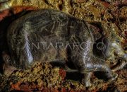 LAM Riau Menyesali Pembunuhan Gajah: Alam Ini Tidak untuk Dihancurkan