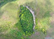 Atasi Perluasan Lubang Raksasa Aceh, Ahli Geologi Beri Saran Ini