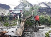 Angin Kencang Menghancurkan Tulungagung, Puluhan Rumah Rusak dan 1 Tumbang