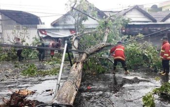 Angin Kencang Menghancurkan Tulungagung, Puluhan Rumah Rusak dan 1 Tumbang
