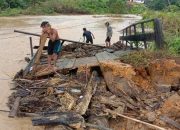 Banjir Bandang Melanda Sintang: Ribuan Hektare Sawah Terendam dan Warga Mengungsi